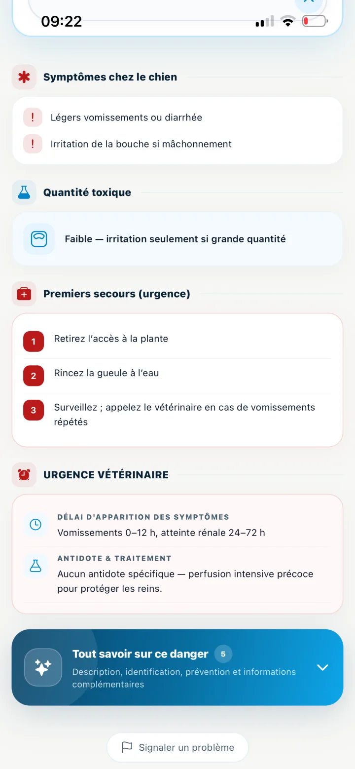 Premiers secours VetSafe pour une exposition à une plante toxique