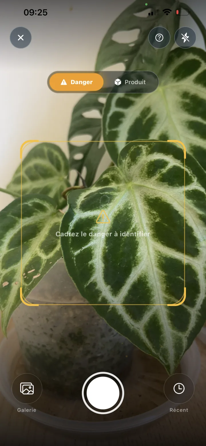 Scanner VetSafe pour cadrer une plante ou un produit à identifier